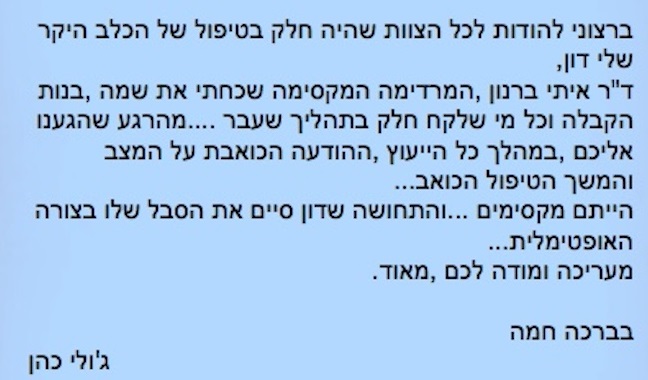 דון הבולדוג הצרפתי